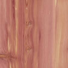 Eastern red cedar