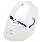face shield