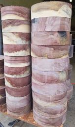 Rainbow Poplar