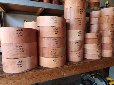 mango turning blanks
