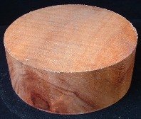 Silk Oak turning wood