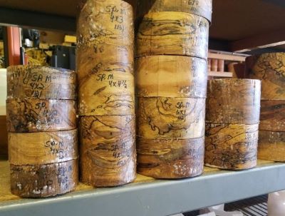 spalted maple